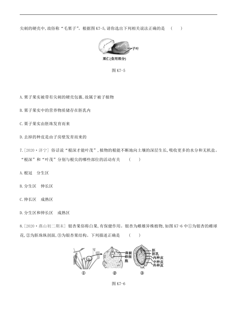 2021年北京市中考生物一轮复习分层训练：课时训练(七)　 被子植物的一生（word版含解析）