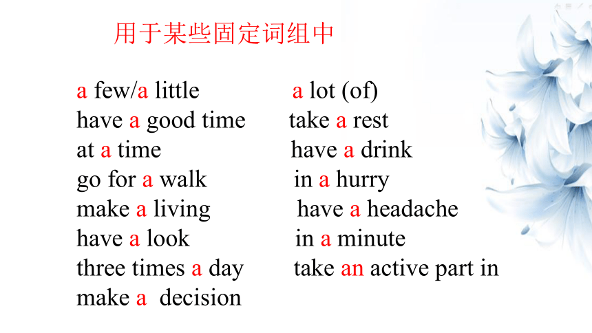 九年级英语复习冠词复习专题 课件（28张PPT，无音频）