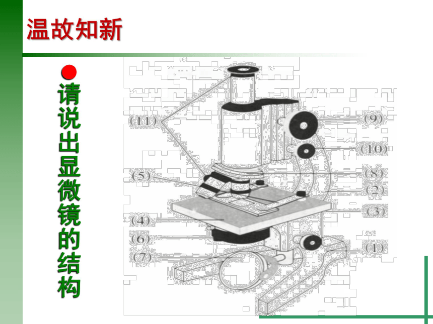 2.2 细胞（3）观察细胞（临时装片的制作）（课件 16张ppt）