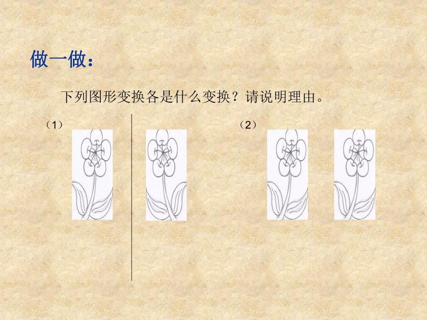 数学八年级下青岛版11.1图形的平移课件8