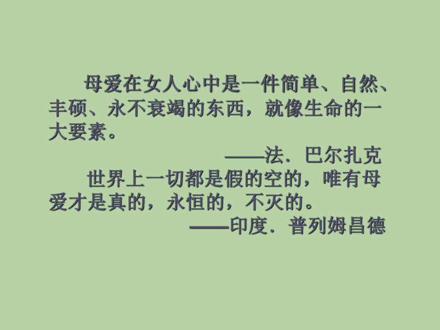 高中语文高一上华东师大版2.5《合欢树》课件（65张）