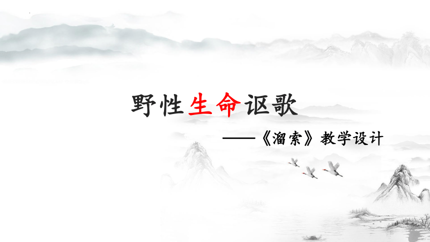 课件预览