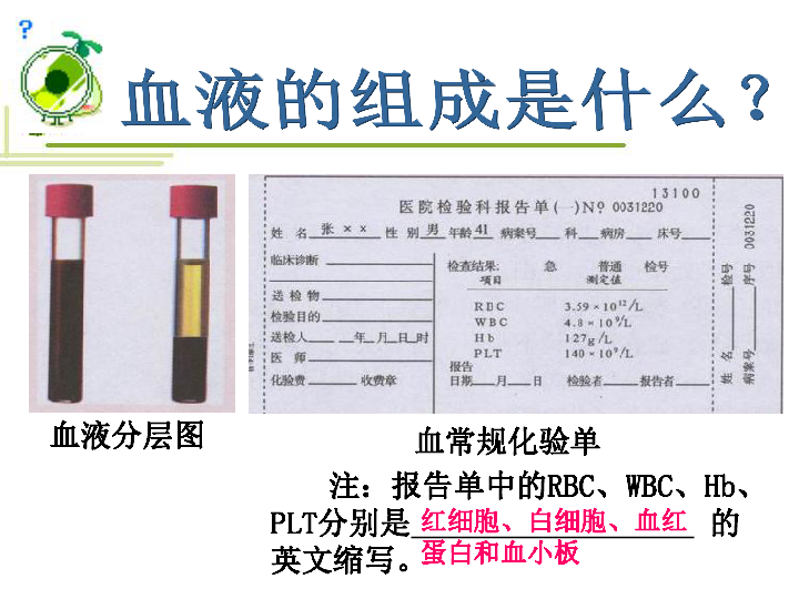 人教版七年级下册生物第四章《第一节 流动的组织——血液》课件 （共41张PPT）