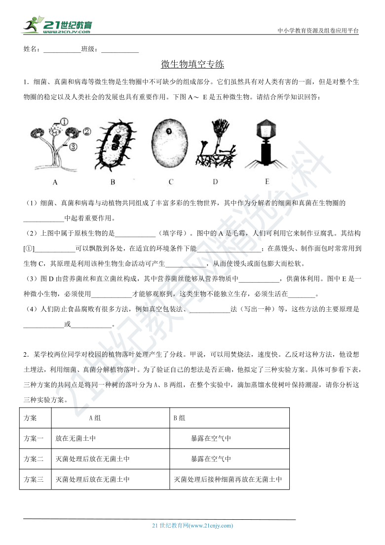 人教版八上第五单元第四章第五章——微生物专题填空(含答案)