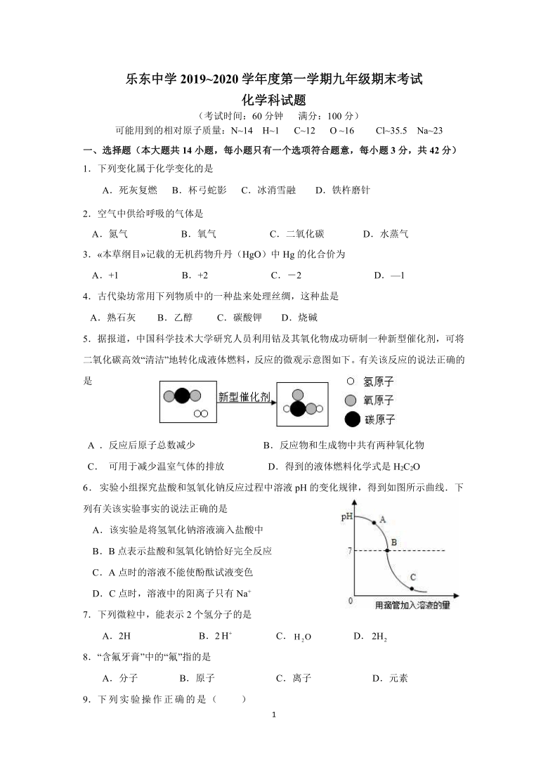 海南省乐东中学2019~2020学年度第一学期九年级期末考试 化学科试题（word版无答案）