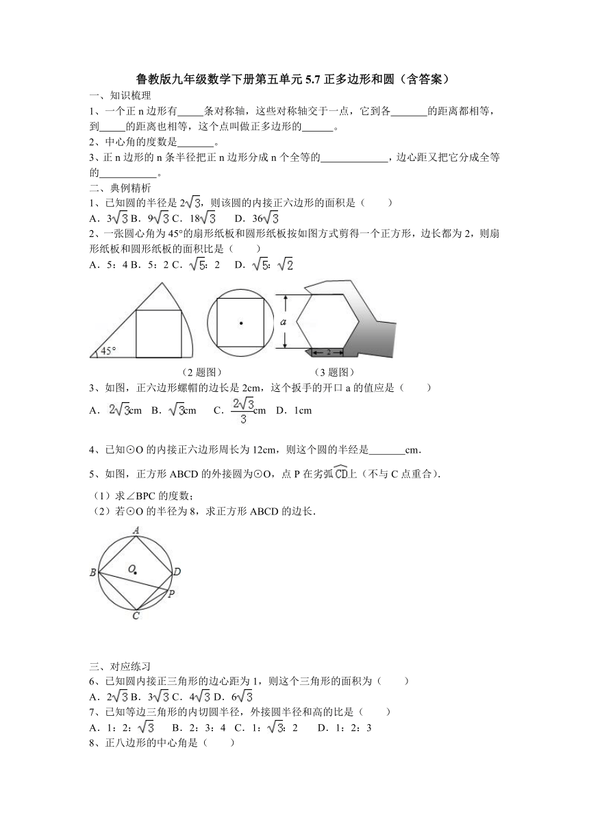 鲁教版九年级数学下册第五单元5.8正多边形和圆（含答案）