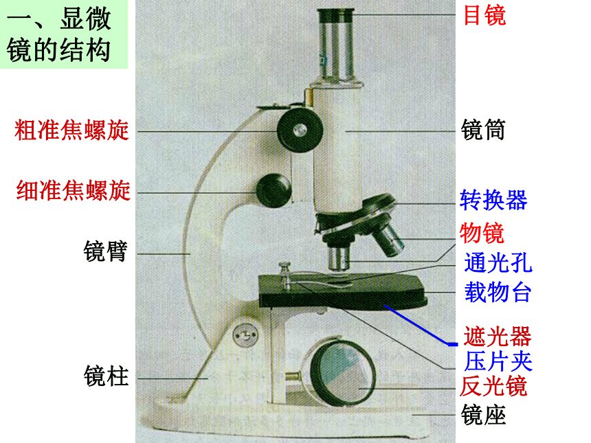 第2节 细胞（第2课时）——显微镜的使用