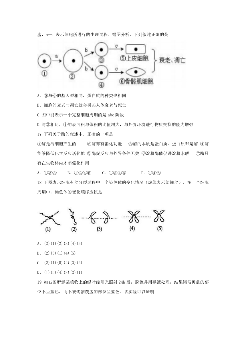 广东省汕头市潮南区2016-2017学年高一上学期期末考试生物试题 Word版含答案