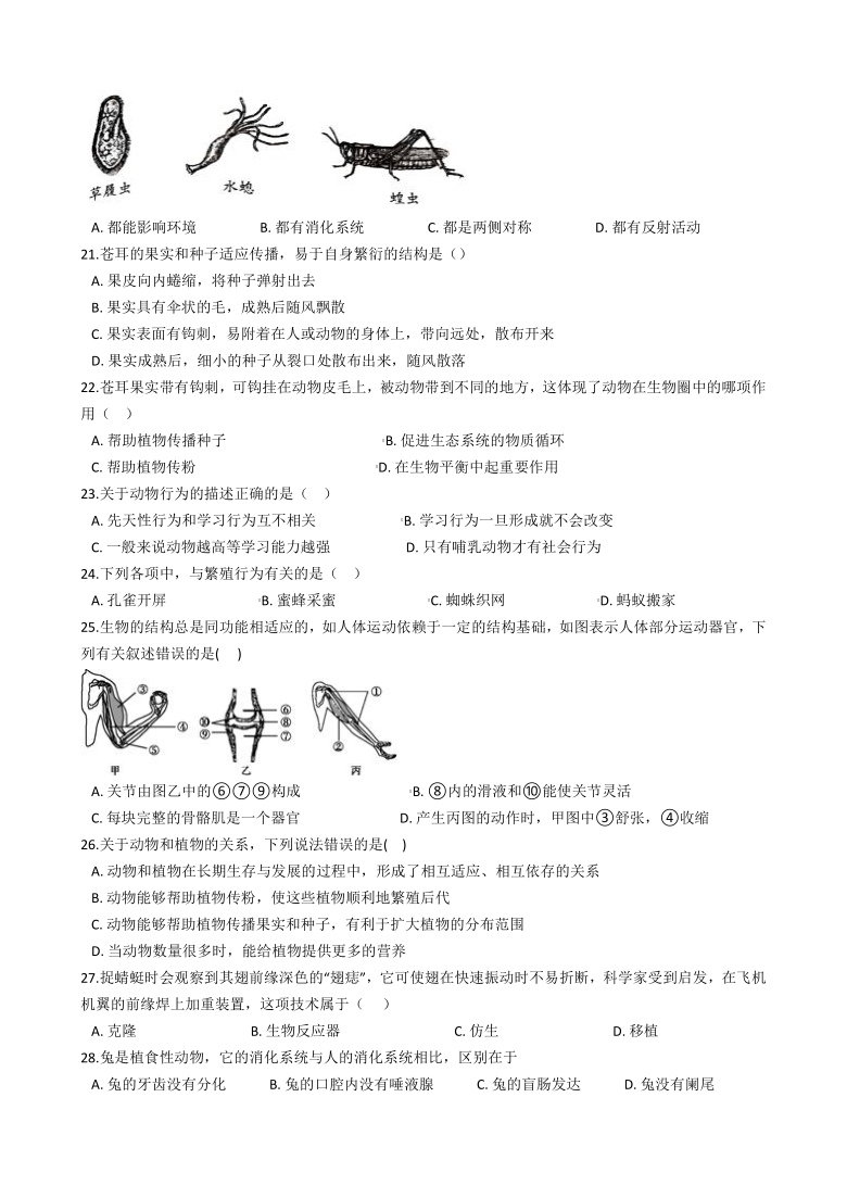 广东省湛江市霞山职业高级中学2020-2021学年第一学期八年级生物10月月考试题（word版，含答案）