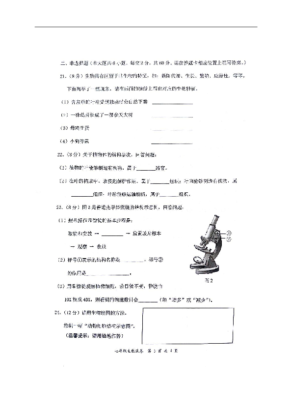 广西贵港市港南区2018-2019学年七年级上学期期中考试生物试题（图片版，含答案）