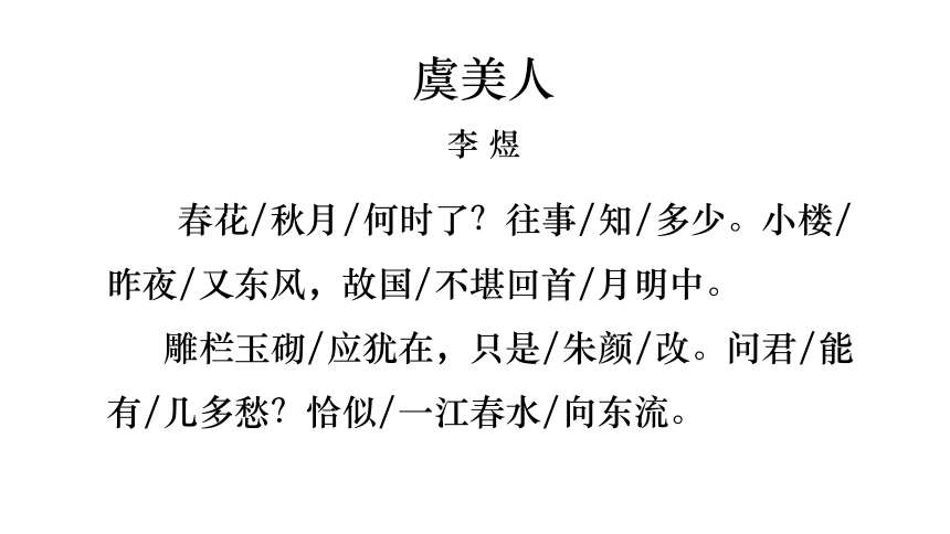 虞美人相关资料图片