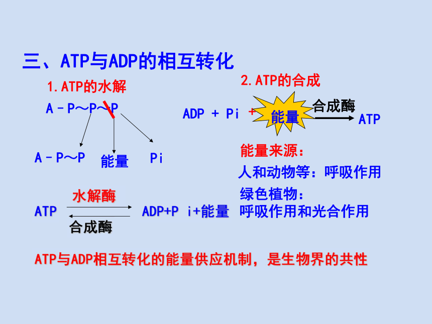 人教版高中生物必修一课件5.2《细胞的能量“通货”——ATP》课件  （共14张PPT）