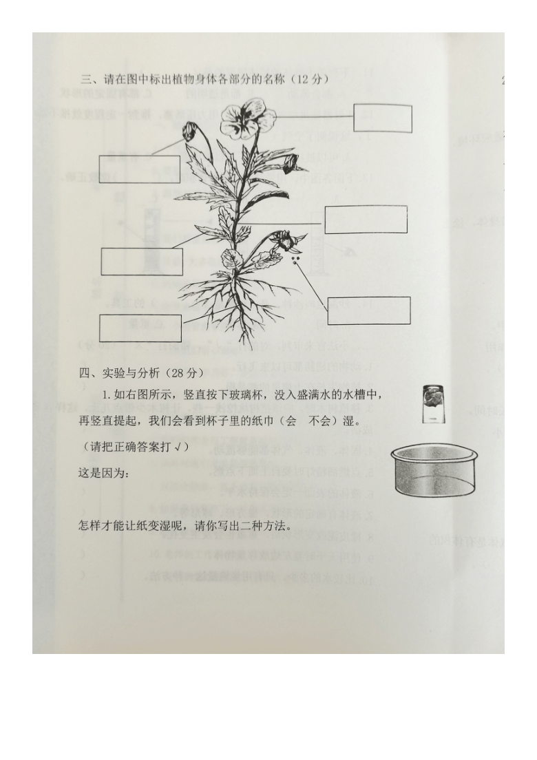 山东省济宁市微山县2020-2021学年第一学期三年级科学期末试卷（图片版，无答案）