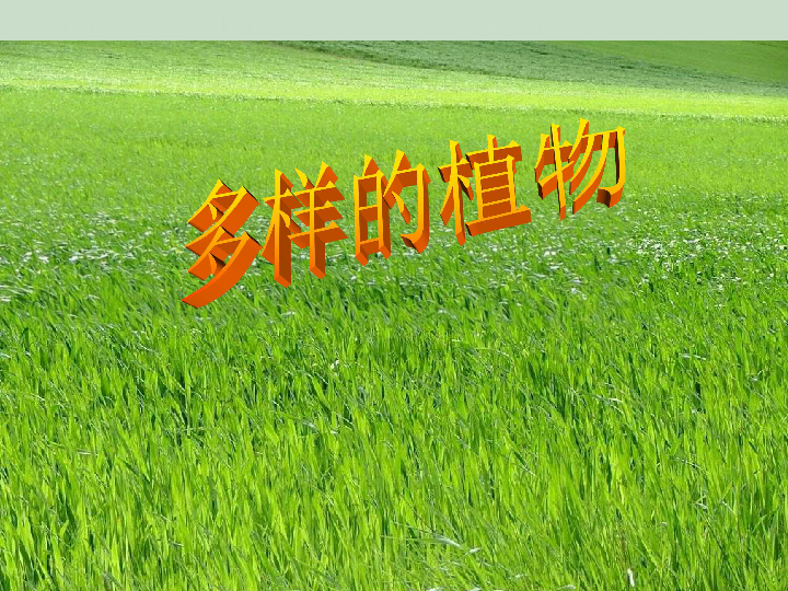 三年级上册科学课件-《多样的植物》课件1北京版(共18张PPT)