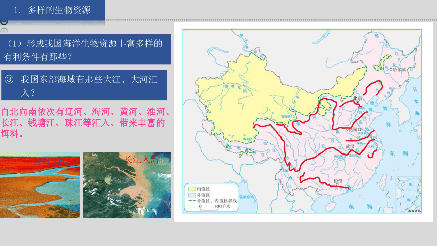 湘教版地理八上 3.4 中国的海洋资源 课件（27张ppt 内含嵌入视频）