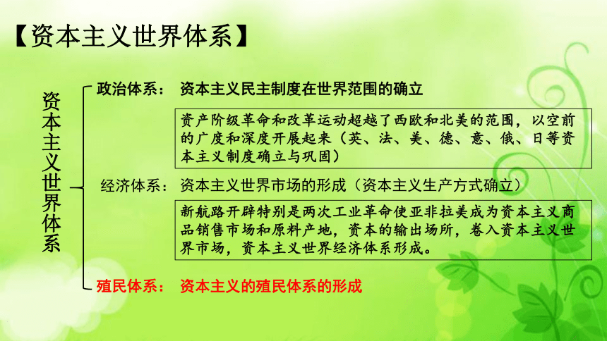 第12课资本主义世界殖民体系的形成课件20212022学年统编版2019高中