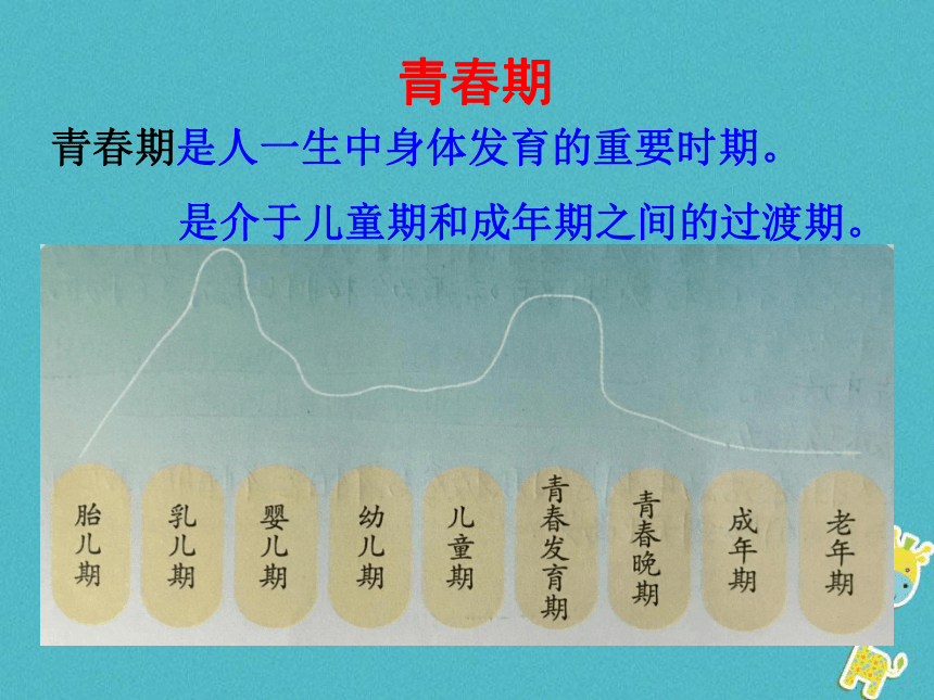 七年级道德与法治下册第一单元第一课第1框悄悄变化的我课件