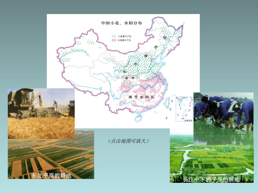 2016春七年级地理下册课件 4.2 土地资源与农业中图版 （新版）（共42张PPT）