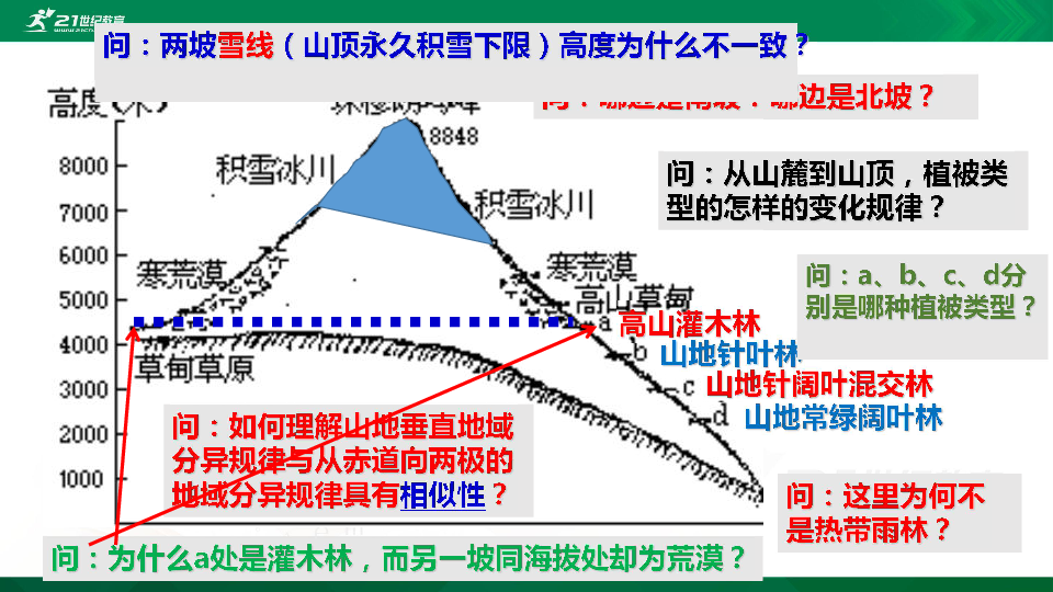 【高考一轮复习】地理-陆地自然带 课件