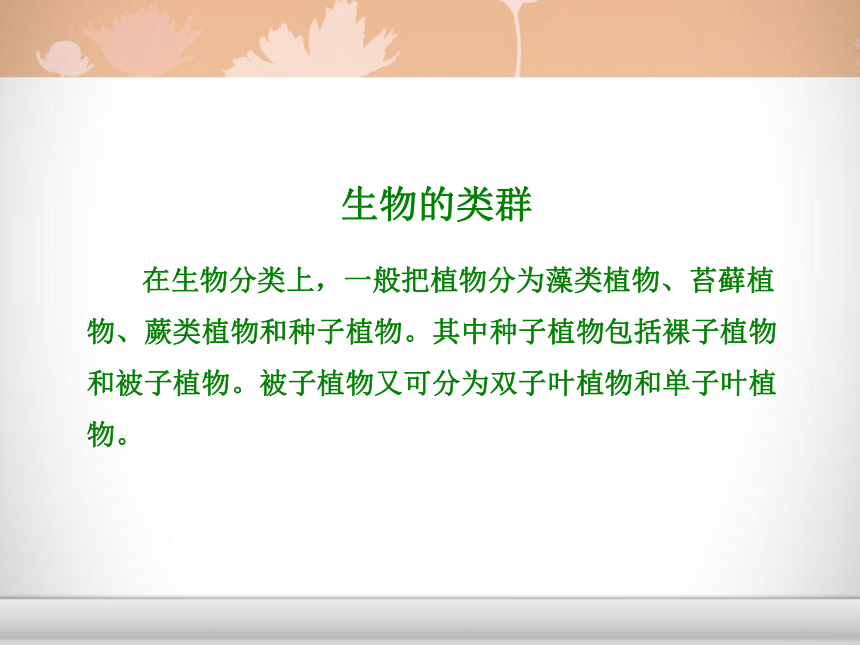 冀少版七年级上册 生物  1.5.2练习对生物进行鉴别课件(共14张PPT)