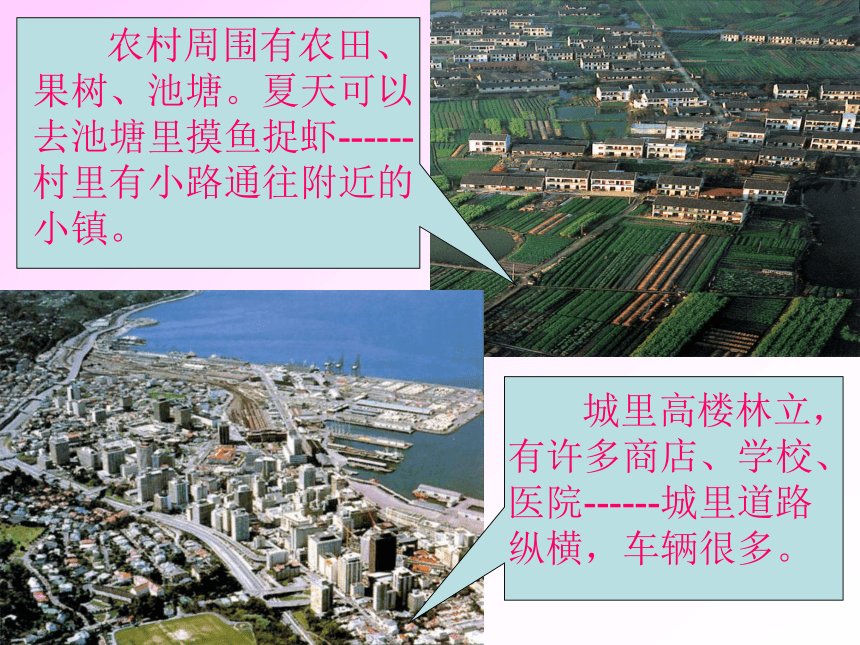 天津市武清区杨村第五中学七年级地理上册：4.3人类的聚居地—聚落  课件