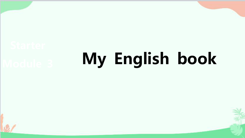 外研版七年級上冊 starter module 3 my english book 習題課件(共3份