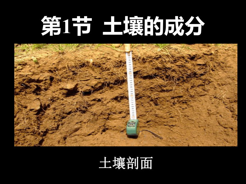 第1节 土壤的成分（两课时）