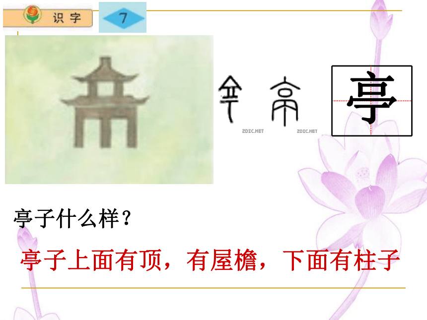 苏教版二年级上册 语文《识字7》课件PPT