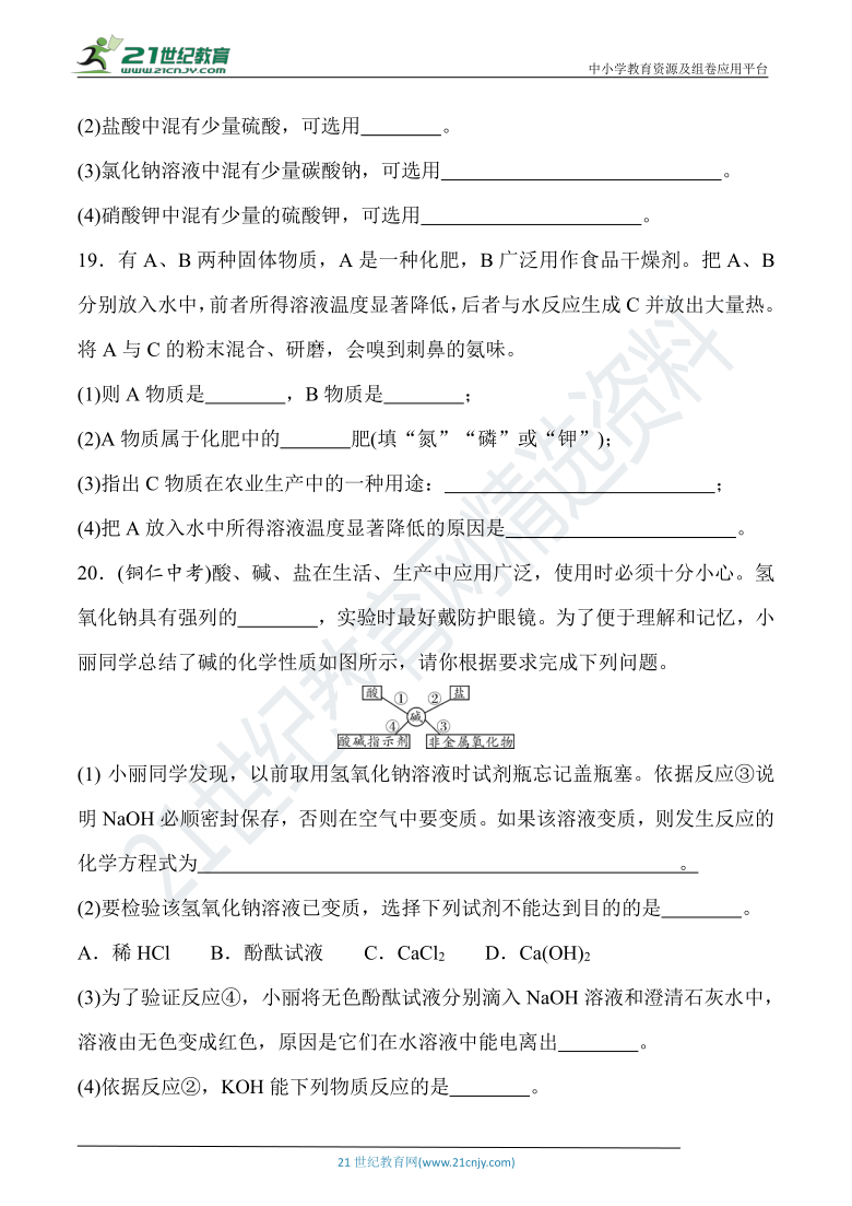 人教版九年级化学下册  第十一单元《盐 化肥》达标检测卷（含详细解答）