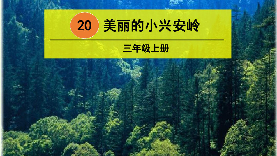 部編版小學語文三年級上冊20美麗的小興安嶺課件44張ppt