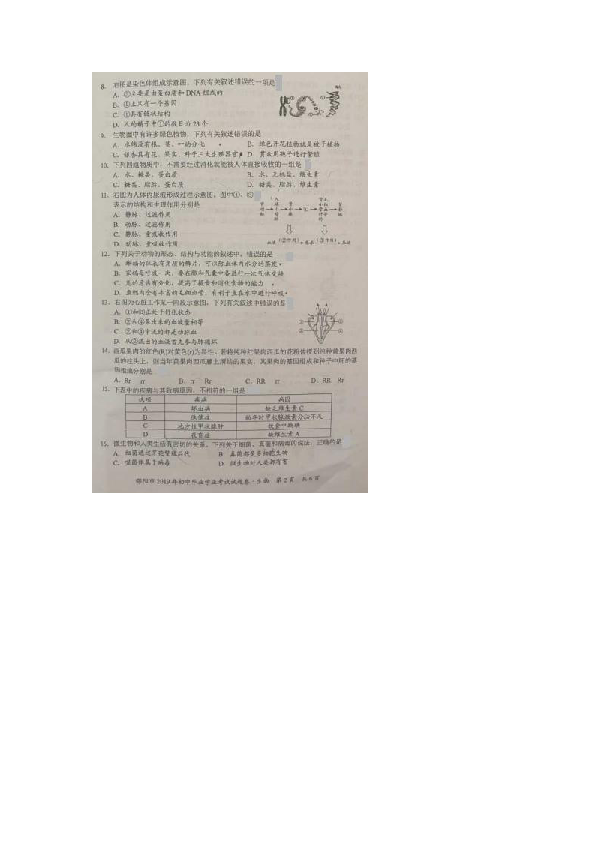 2019年湖南省邵阳市初中学业水平考试生物试题（扫描版无答案）
