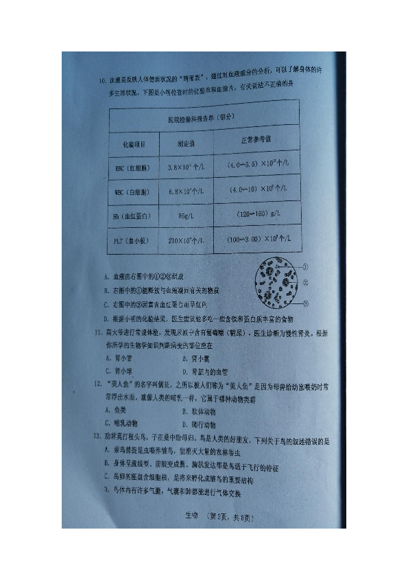 山西省灵石县2019年中考生物考前训练试题（图片版含答案）