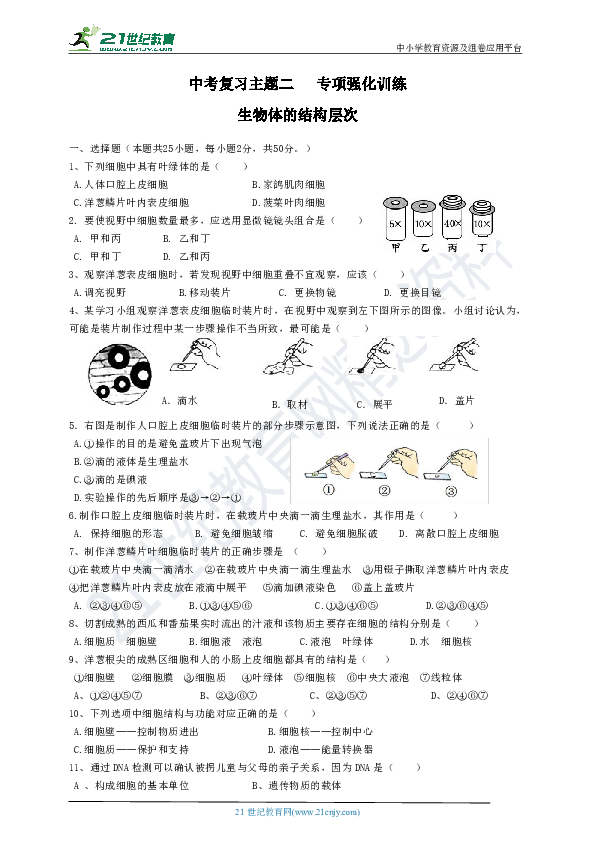 中考复习主题二   生物体的结构层次（专项强化训练  含答案）