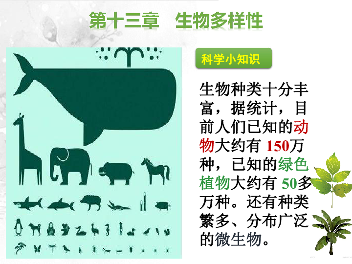 北京版八年级生物下册第十三章 第一节 生物的分类课件 (共48张PPT)
