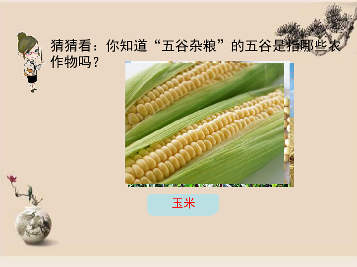 湘教版八年级地理上册  第四章 中国的主要产业  第一节  农业  课件 （共39张PPT）