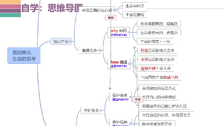 道德与法治中考一轮复习课件 课时2  师生情谊-生命的思考（适用希沃白板）