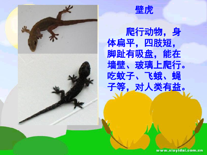 课件预览