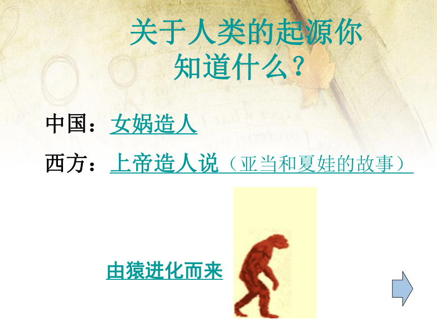 七年级上册历史第1课《中国早期人类的代表——北京人》课件 37张