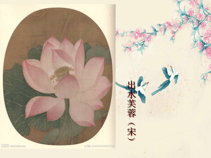 2018人美版美术绘画第3课《借物抒情 托物言志--中国花鸟画》课件5