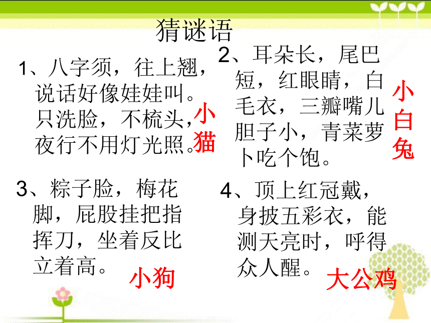 《可爱的小动物》教学课件