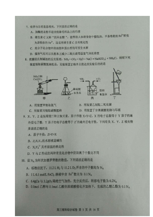 广东省清远市2019届高三上学期期末考试理科综合试题 扫描版含答案