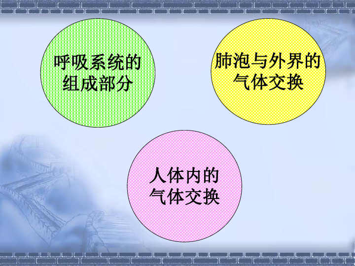 七年級下冊第二章複習課下載-生物-21世紀教育網