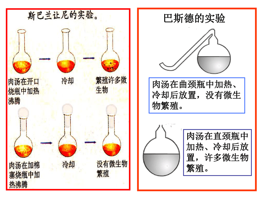 1.1.3生物学的探究方法 课件（共14张PPT）