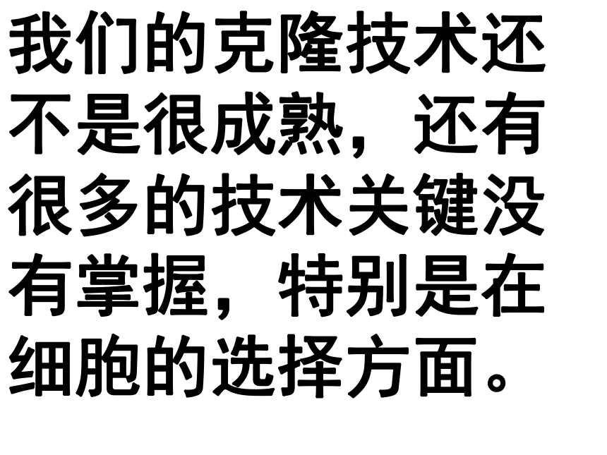 小学科学  冀教版  四年级下册  第七单元  25 展示会 课件