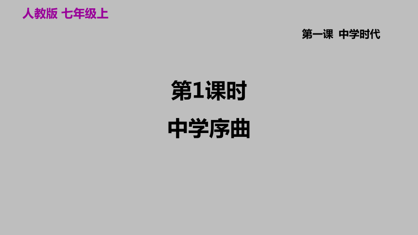 11中学序曲课件共22张