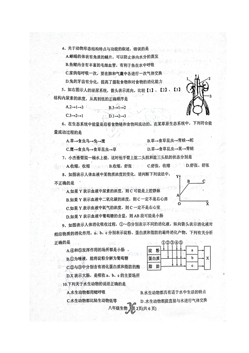 河南省南阳市内乡县2017-2018学年八年级下学期期末质量评估生物试题（图片版，含答案）