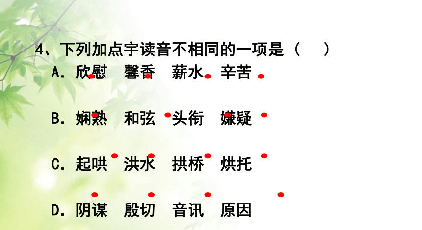 中考语文字音、字形复习课件 (共54张PPT)