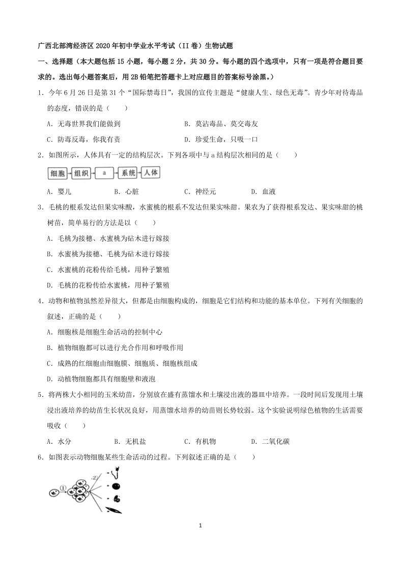 2020年广西北部湾经济区中考生物真题(word版含解析）