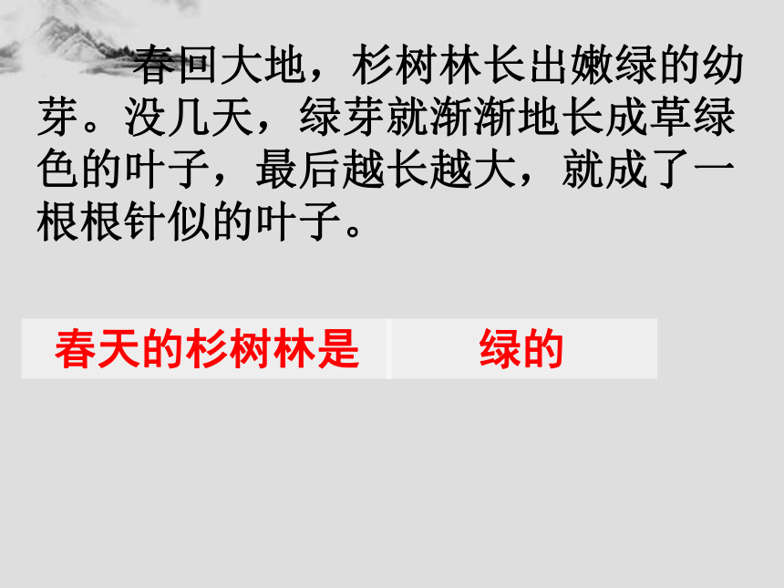 《快乐的杉树林》课件