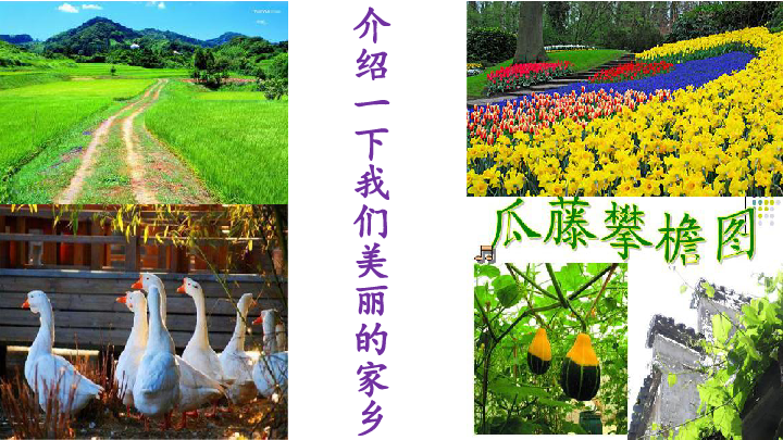 课件预览